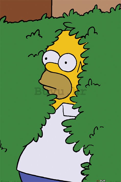 Poster - The Simpsons (Homer Bush)