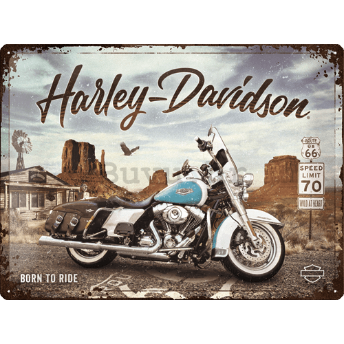 Metalna tabla: Harley-Davidson (King of Route 66) - 40x30 cm