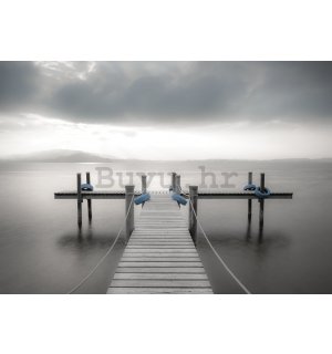 Vlies foto tapeta: Drveni nogostup do mora (crno-bijeli) - 254x368 cm