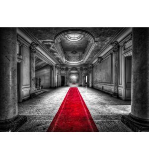 Vlies foto tapeta: Hodnik u dvorcu - 416x254 cm
