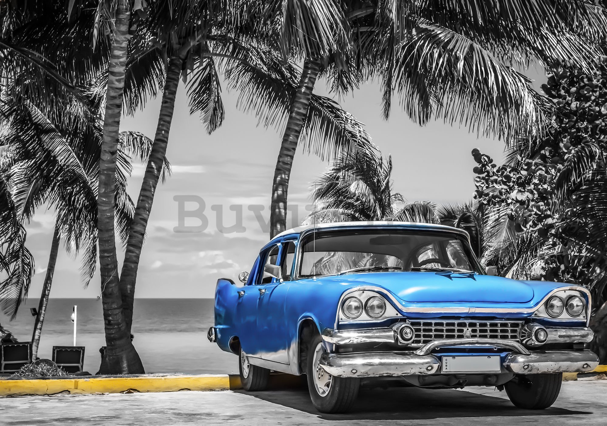 Vlies foto tapeta: Kuba plavi automobil uz more - 416x254 cm
