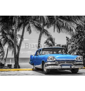 Vlies foto tapeta: Kuba plavi automobil uz more - 416x254 cm