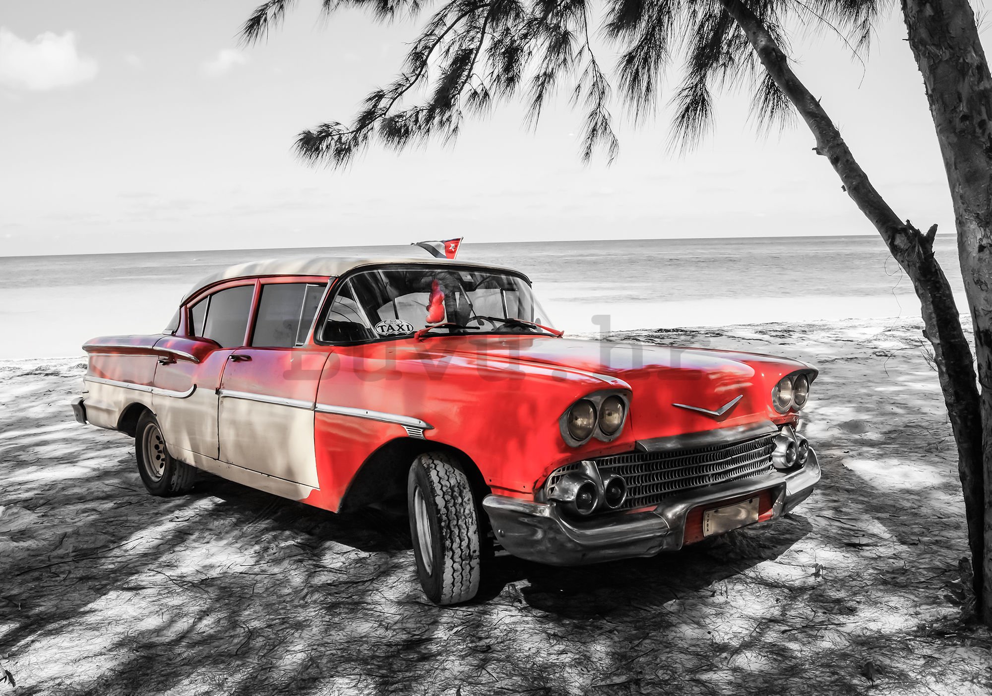 Vlies foto tapeta: Kuba crveni automobil uz more - 184x254 cm