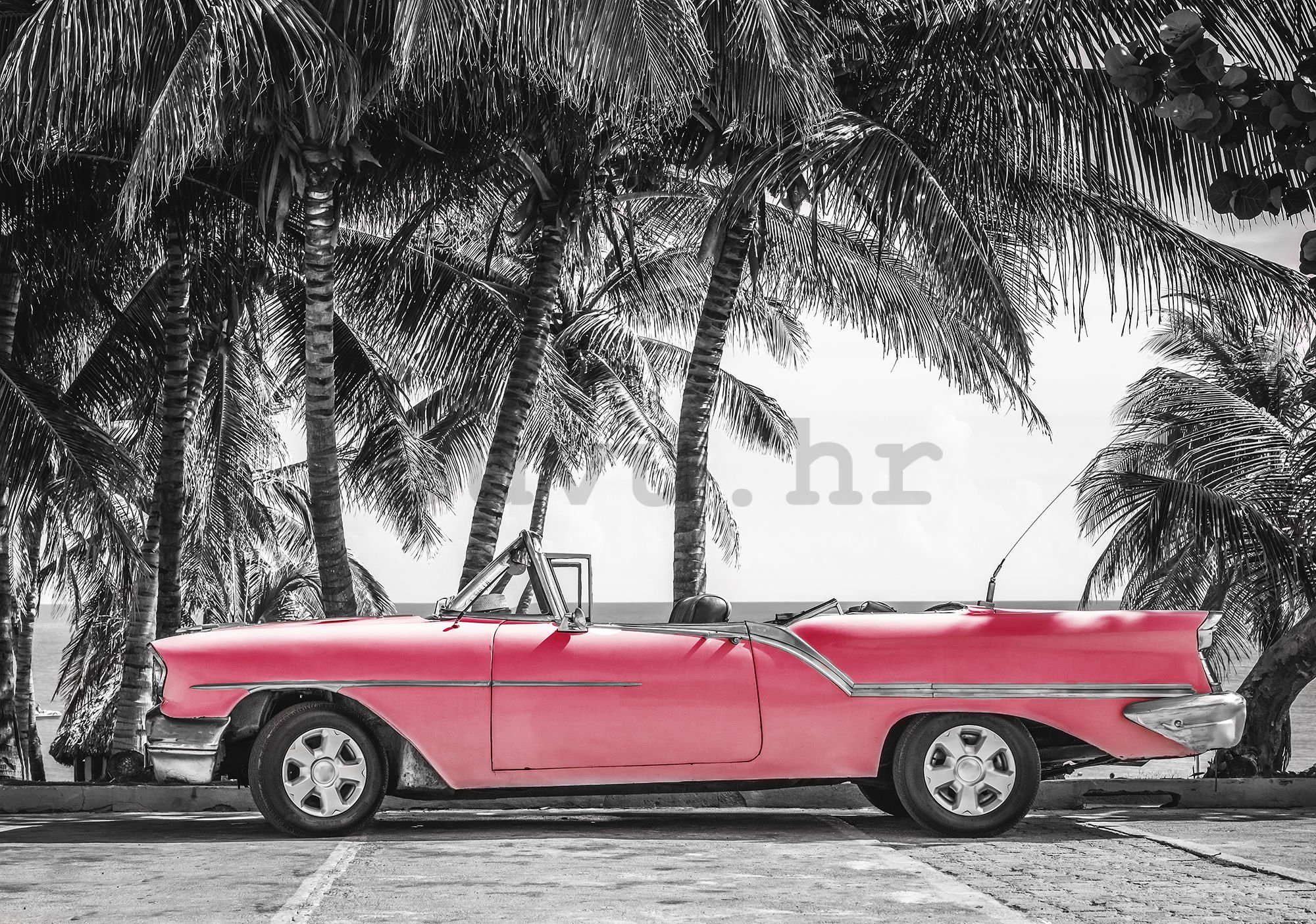 Vlies foto tapeta: Kuba crveni automobil - 254x368 cm