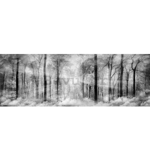 Foto tapeta: Crno-bijela šuma - 624x219 cm