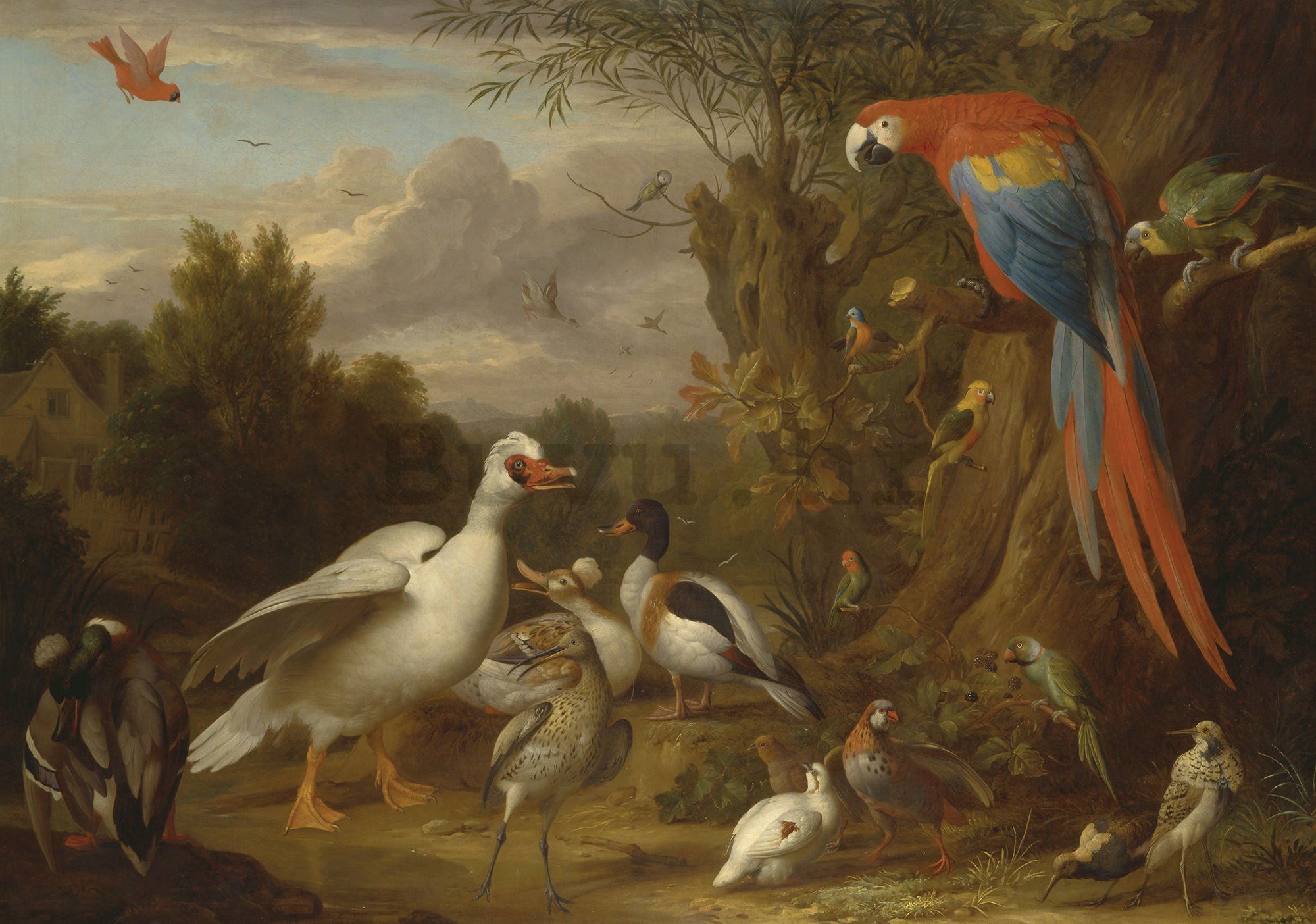 Foto tapeta: Ducks, Parrots and Other Birds in a Landscape - 104x152,5 cm