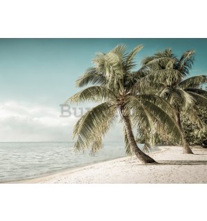 Vlies foto tapeta: Obala s palmama - 184x254 cm