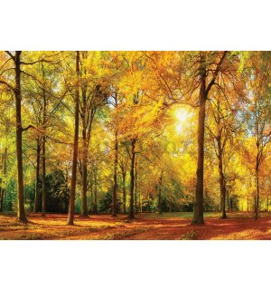 Vlies foto tapeta: Palo lišće u šumi - 184x254 cm