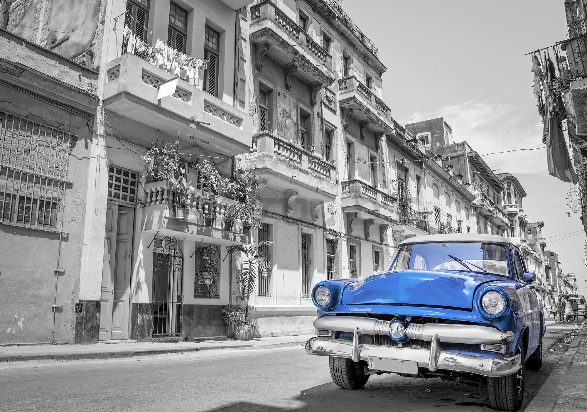 Vlies foto tapeta: Havanski plavi automobil - 254x368 cm