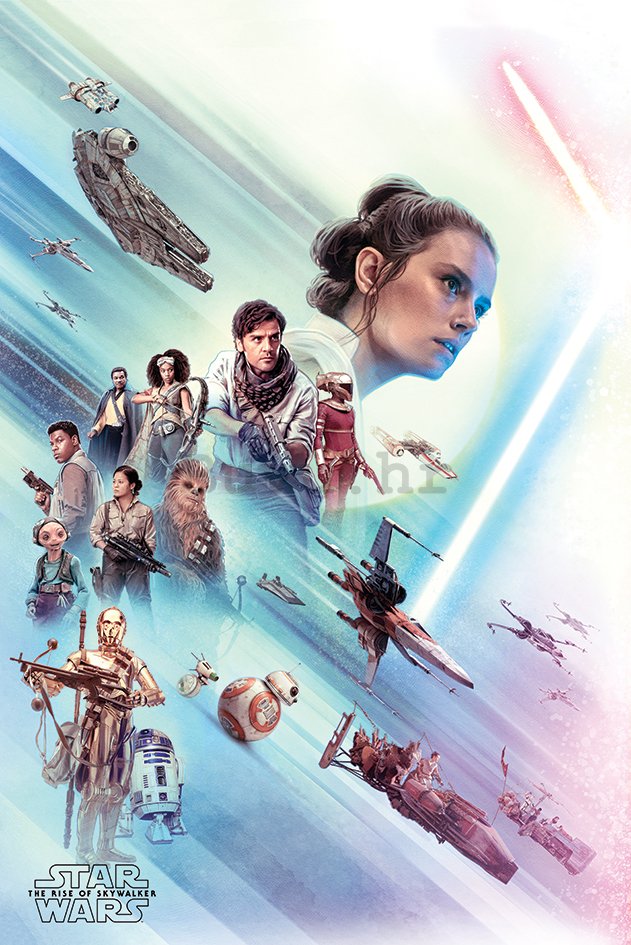 Poster - Star Wars: Rise Of Skywalker (Ray)