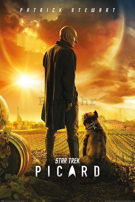 Poster - Star Trek Picard (Picard Number One)