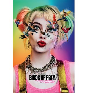 Poster - Birds Of Prey (Seeing Stars)
