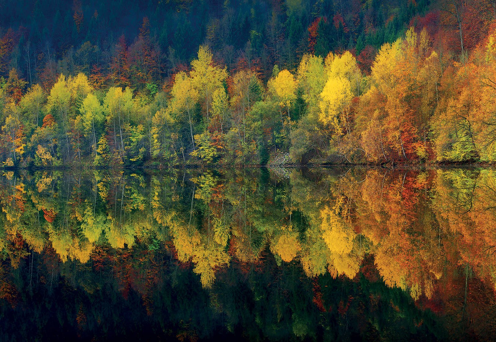 Foto tapeta: Jesenska šuma i jezero - 368x254cm