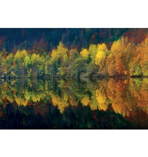 Foto tapeta: Jesenska šuma i jezero - 368x254cm