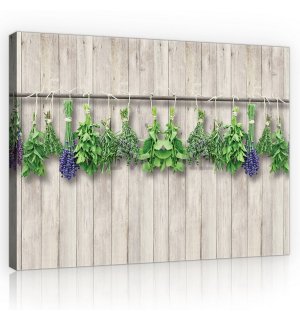 Slika na platnu: Lavanda i biljke - 75x100 cm