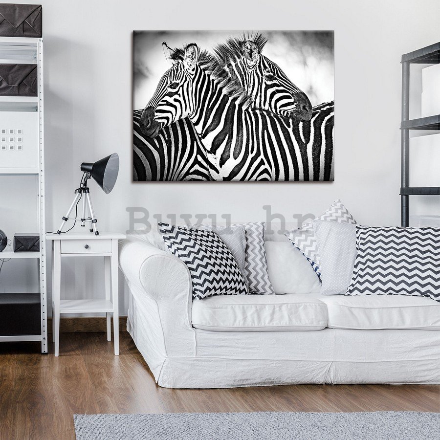 Slika na platnu: Zebre (3) - 75x100 cm