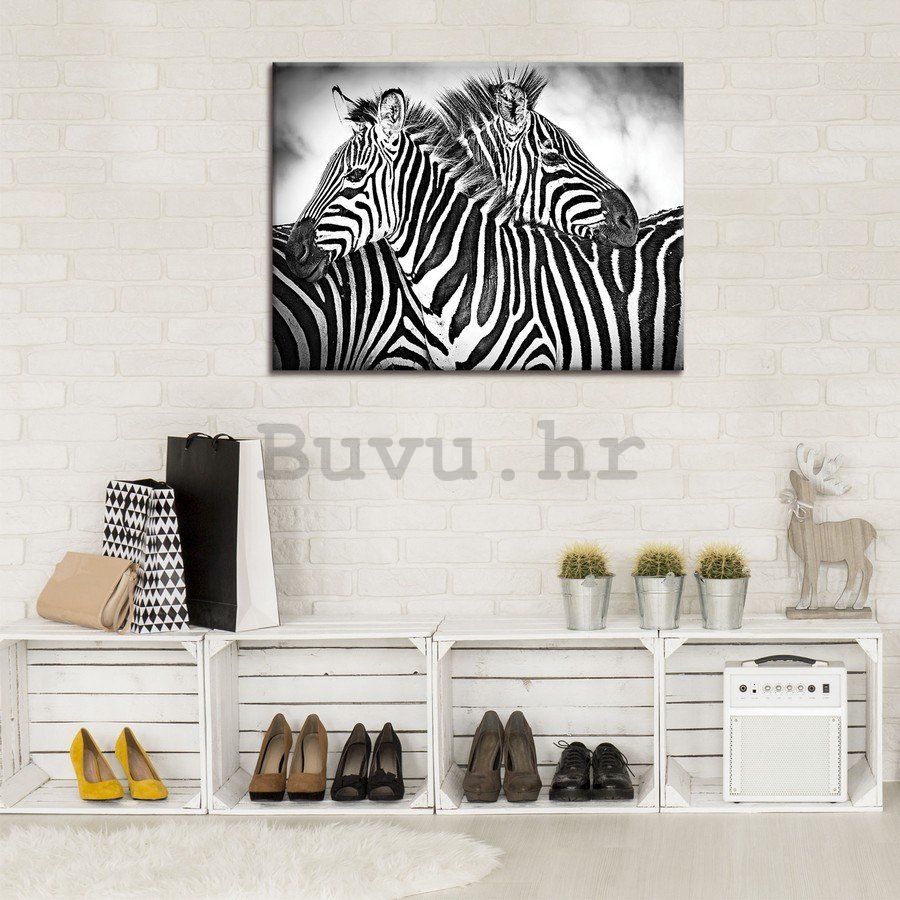 Slika na platnu: Zebre (3) - 75x100 cm