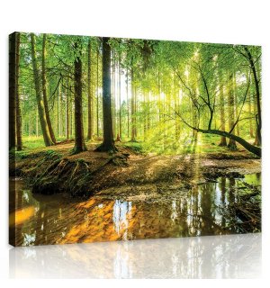 Slika na platnu: Poplavna šuma - 75x100 cm