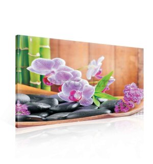 Slika na platnu: Orhideje (1) - 75x100 cm
