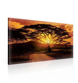 Slika na platnu: Afrički zalazak sunca - 75x100 cm