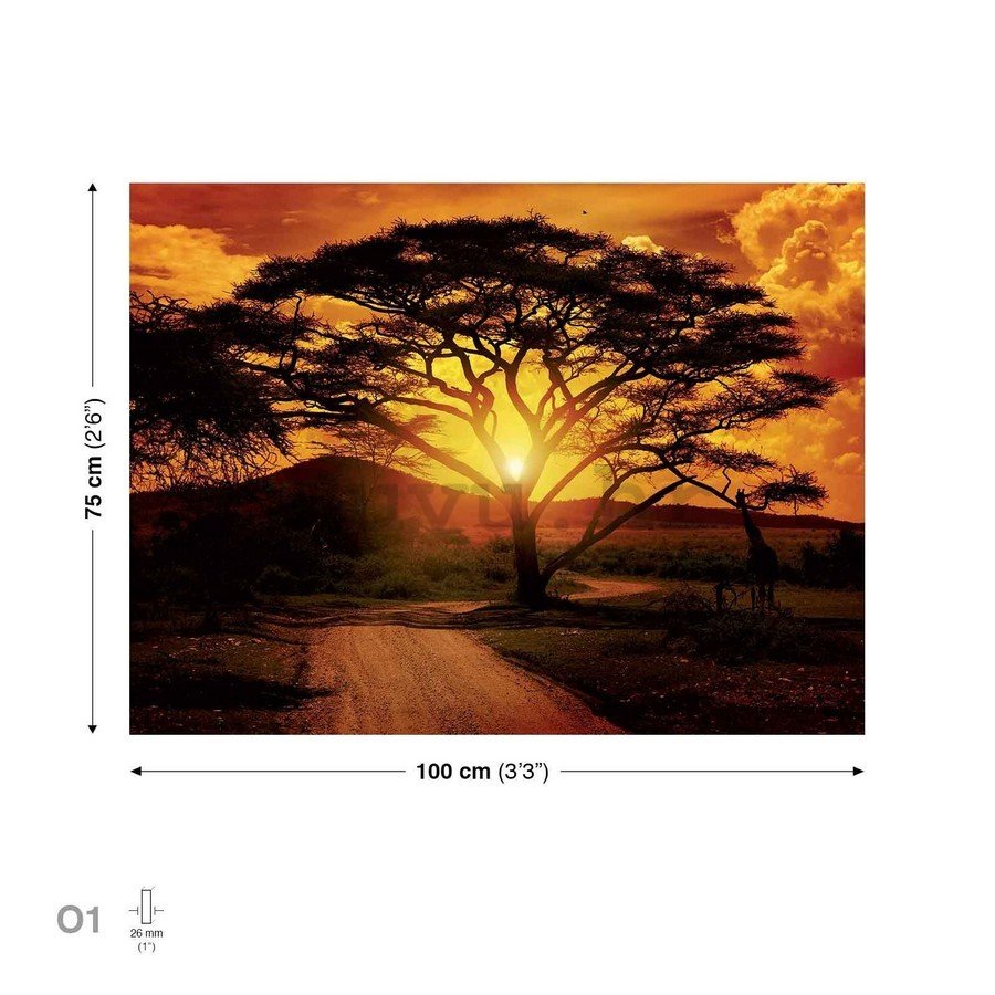 Slika na platnu: Afrički zalazak sunca - 75x100 cm