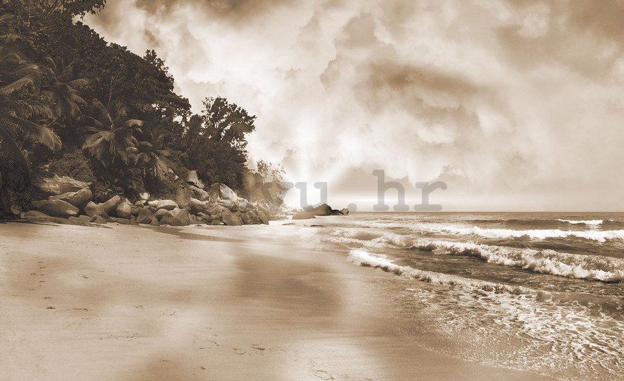 Slika na platnu: Raj na plaži (sipe) - 75x100 cm