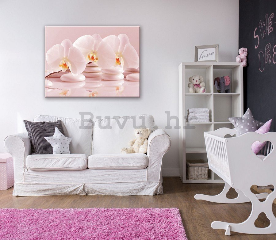 Slika na platnu: Ružičaste orhideje - 75x100 cm