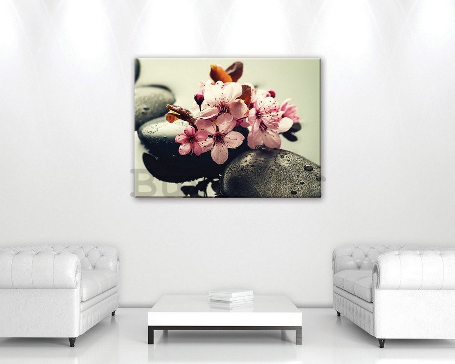 Slika na platnu: Zen i cvijeće - 75x100 cm