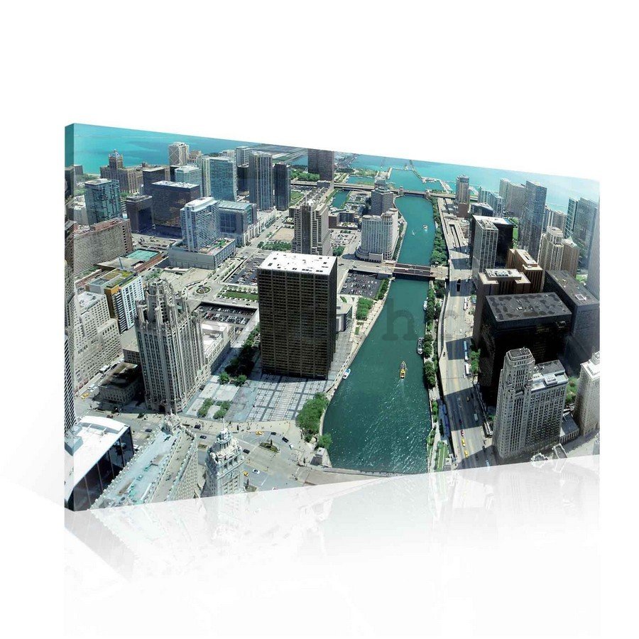 Slika na platnu: Chicago River - 75x100 cm