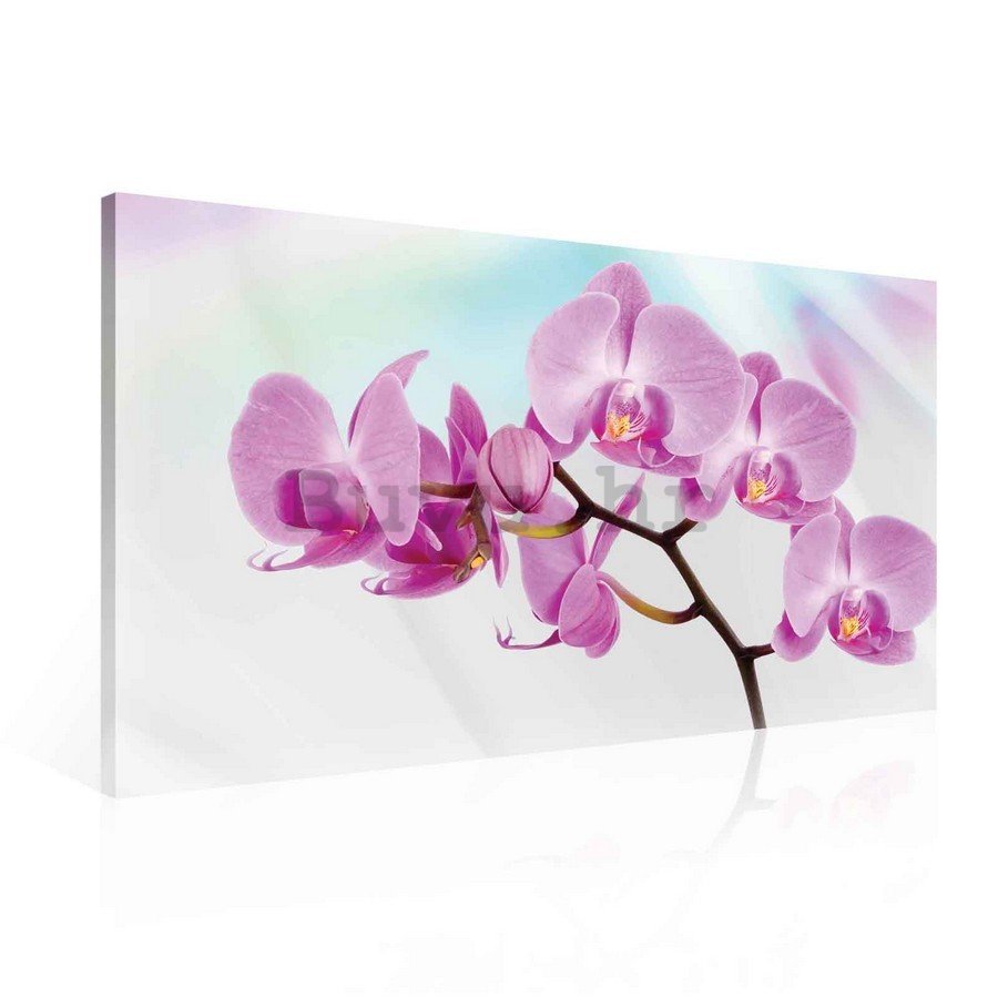 Slika na platnu: Ljubičasta Orhideja - 75x100 cm