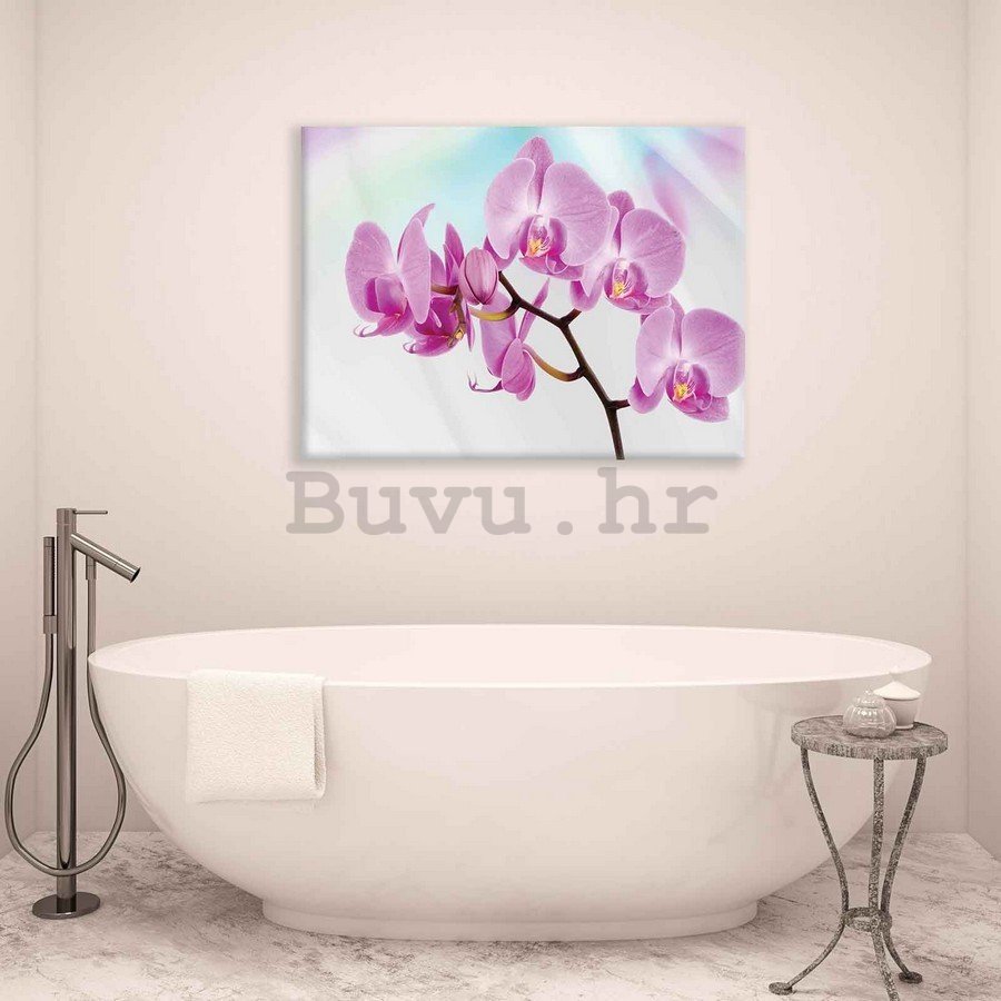 Slika na platnu: Ljubičasta Orhideja - 75x100 cm