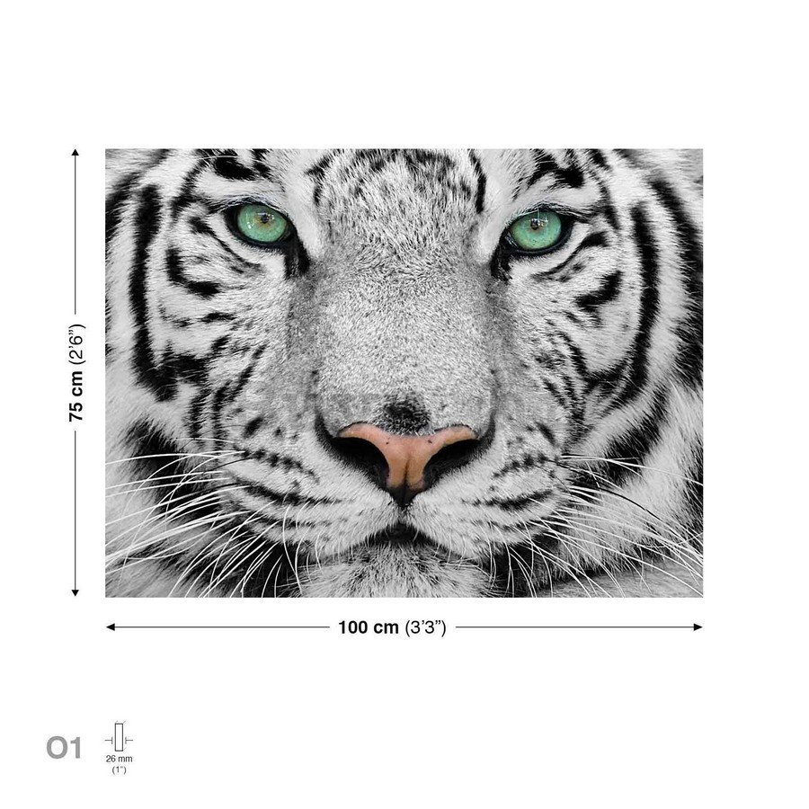 Slika na platnu: Bijeli tigar - 75x100 cm