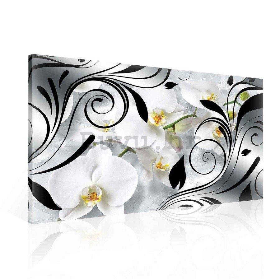 Slika na platnu: Bijele orhideje i apstrakcija - 75x100 cm