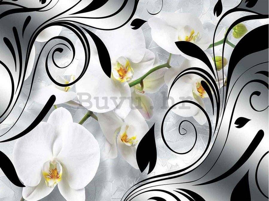 Slika na platnu: Bijele orhideje i apstrakcija - 75x100 cm