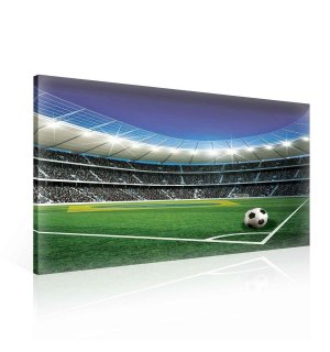 Slika na platnu: Nogometni Stadion (5) - 75x100 cm