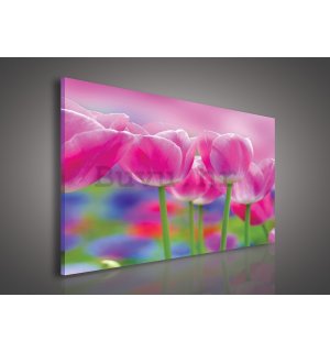 Slika na platnu: Ljubičasti tulipani - 75x100 cm