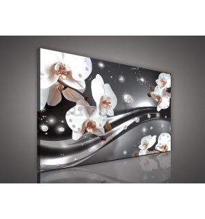 Slika na platnu: Orhideja i apstrakcija - 75x100 cm