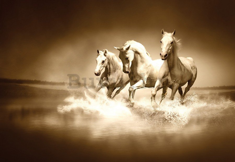 Slika na platnu: Konji (4) - 75x100 cm