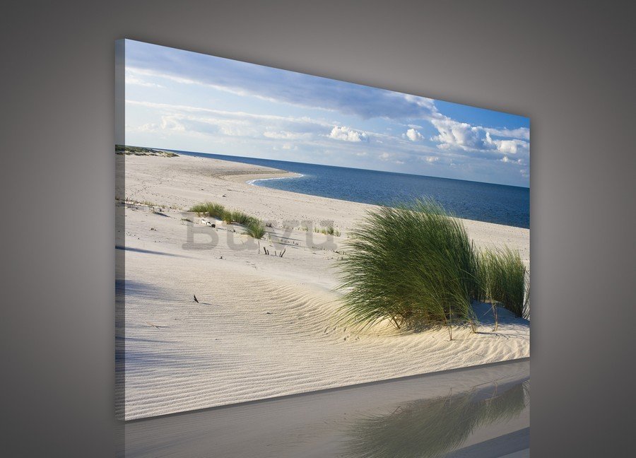 Slika na platnu: Pješčana plaža (1) - 75x100 cm
