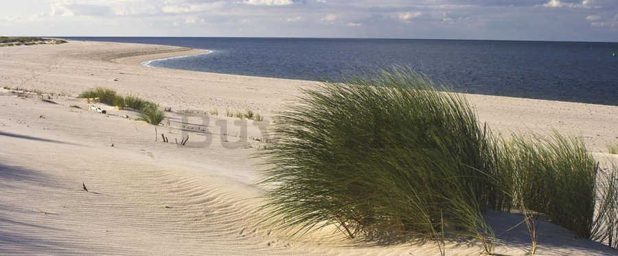 Slika na platnu: Pješčana plaža (1) - 75x100 cm