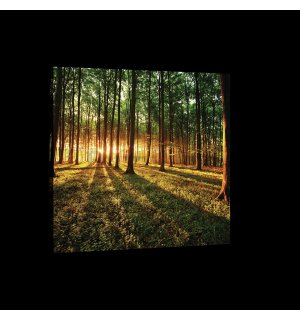 Slika na platnu: Zalazak sunca u šumi - 75x100 cm