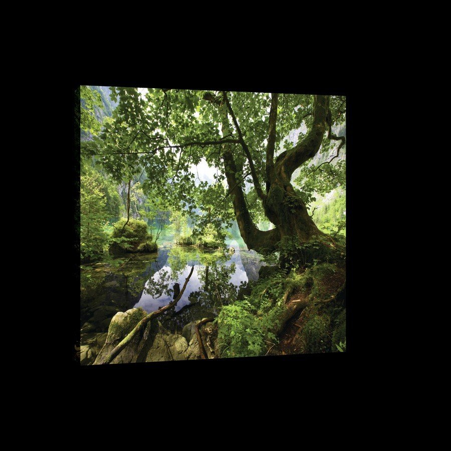 Slika na platnu: Šumski bazen - 75x100 cm