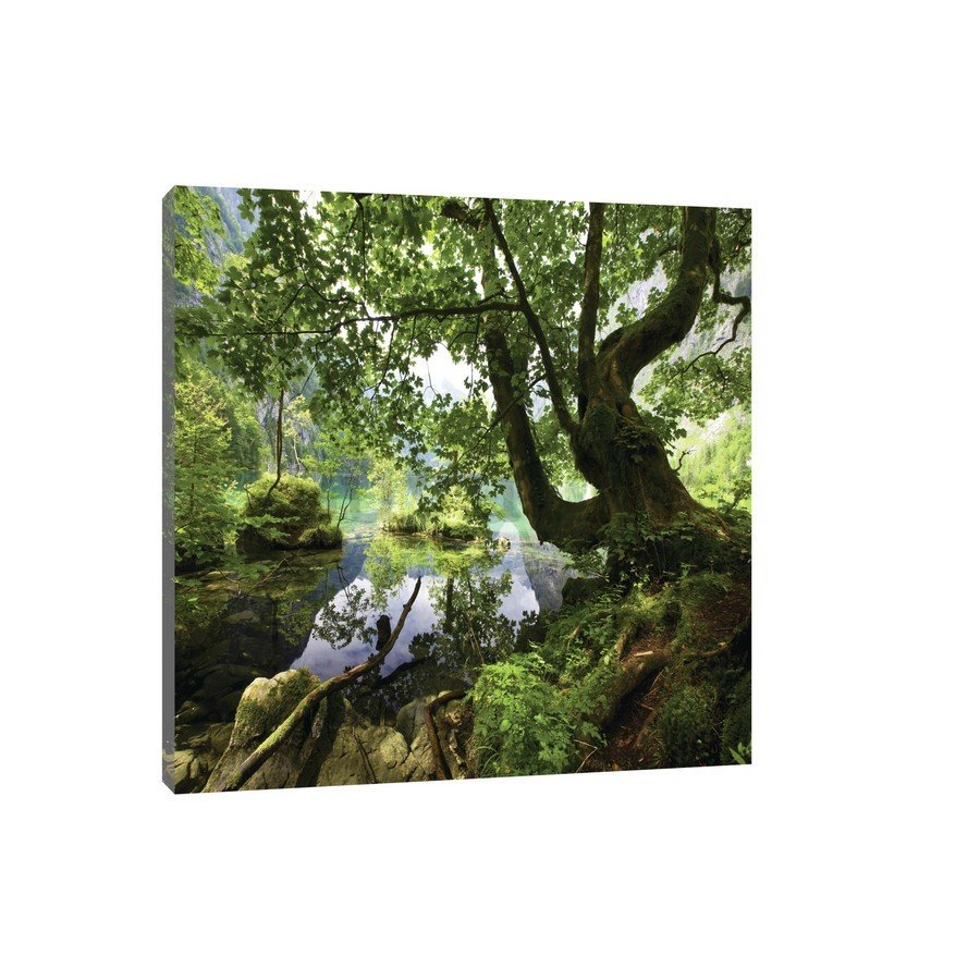 Slika na platnu: Šumski bazen - 75x100 cm