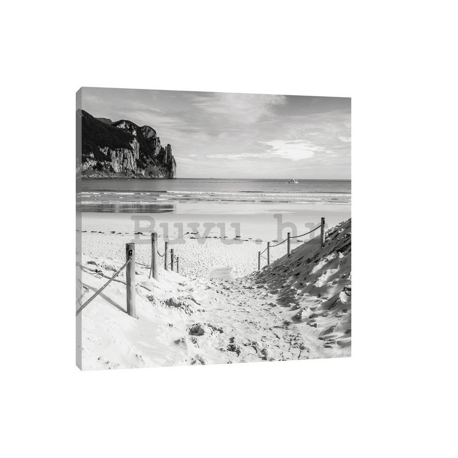 Slika na platnu: Pješčana plaža (crno-bijela) - 75x100 cm