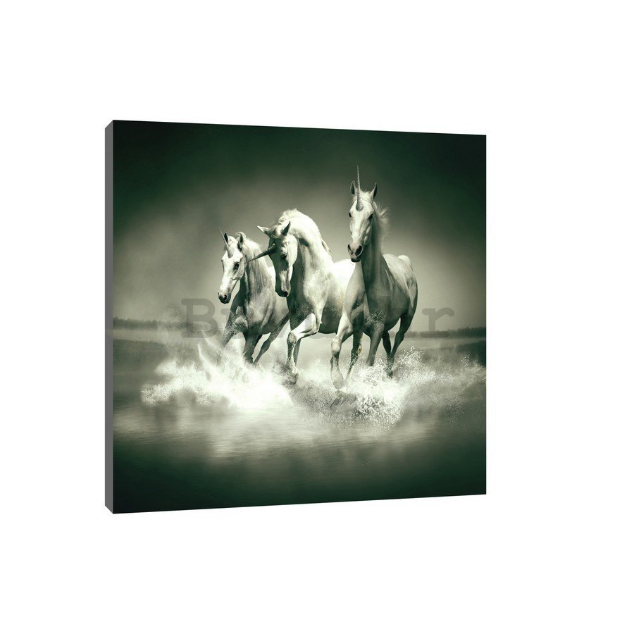 Slika na platnu: Jednorozi (crno-bijeli) - 75x100 cm