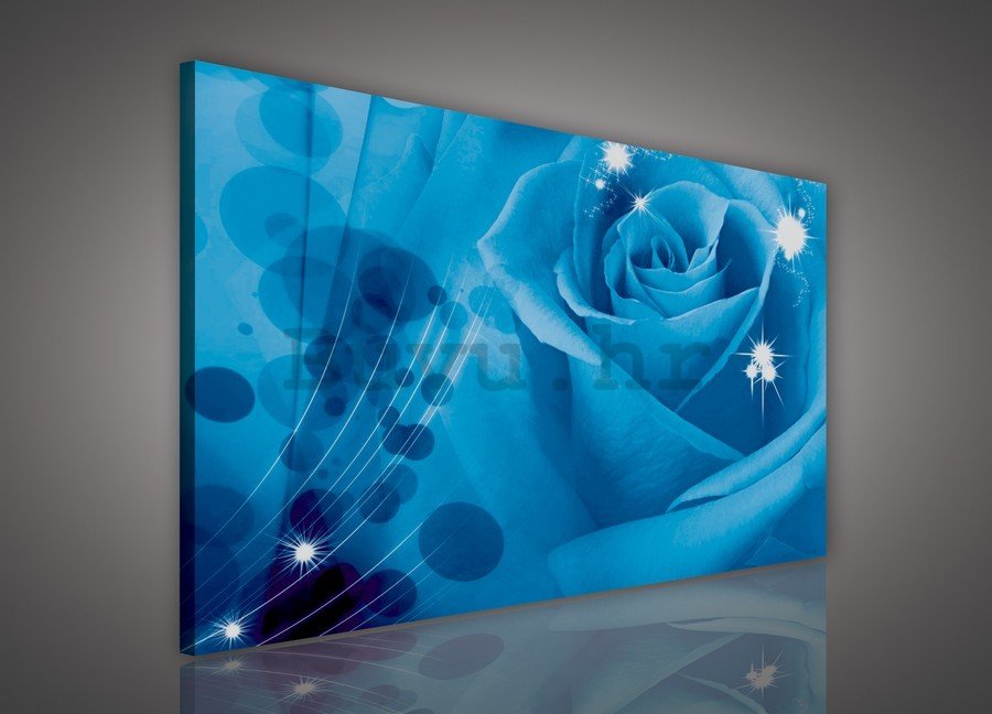Slika na platnu: Plava ruža (1) - 75x100 cm