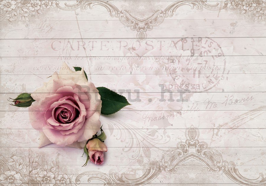 Slika na platnu: Ruže (carte postale) - 75x100 cm