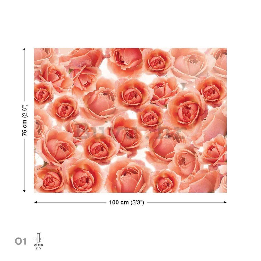 Slika na platnu: Crvene i ružičaste ruže - 75x100 cm