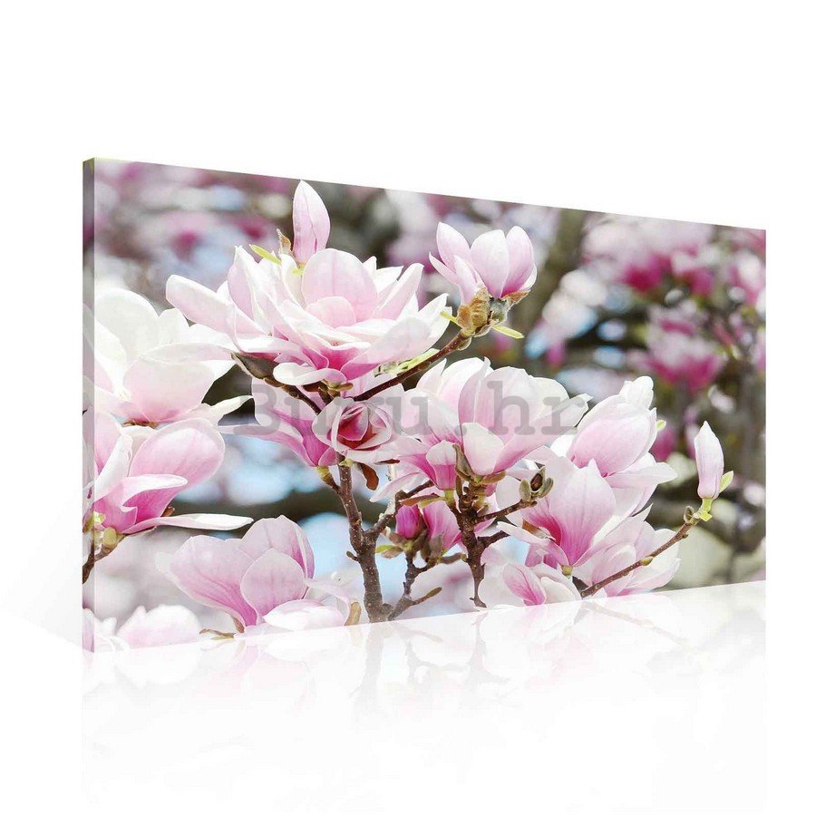 Slika na platnu: Ružičasto cvijeće - 75x100 cm