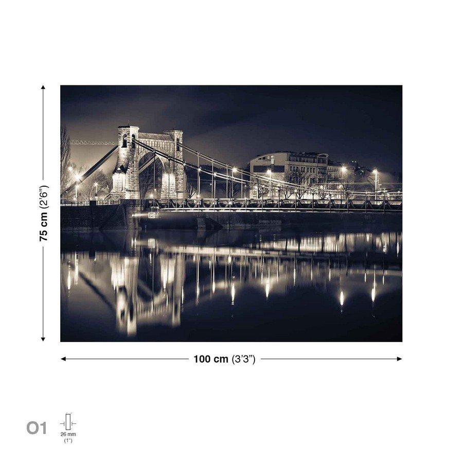 Slika na platnu: Grunwaldov most - 75x100 cm
